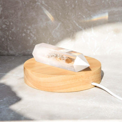 The Healing Lamp - Tampa Home & Garden Store