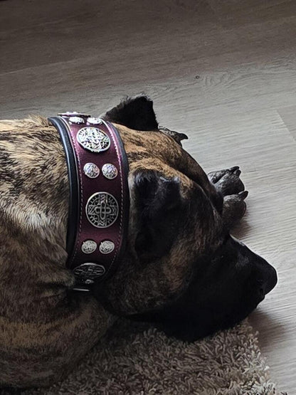 The "Hektor" Burgundy Collar LIMITED - Tampa Home & Garden Store