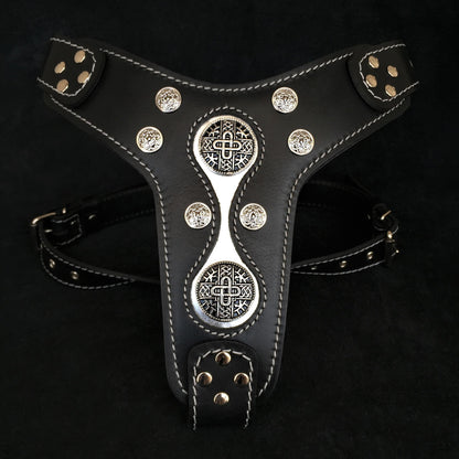 The "Hektor" harness - Tampa Home & Garden Store