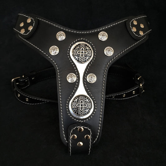 The "Hektor" harness - Tampa Home & Garden Store