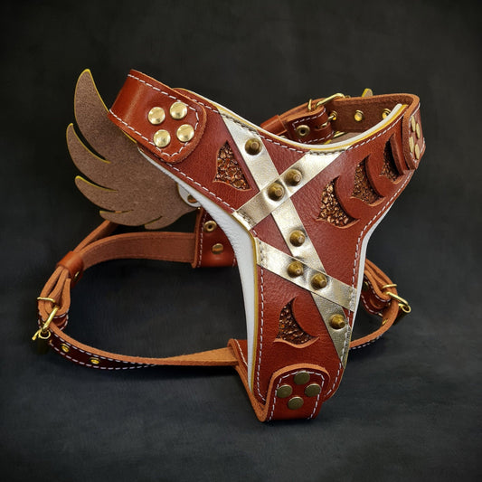 The "Hermes" leather harness - Small to Medium Size - Tampa Home & Garden Store