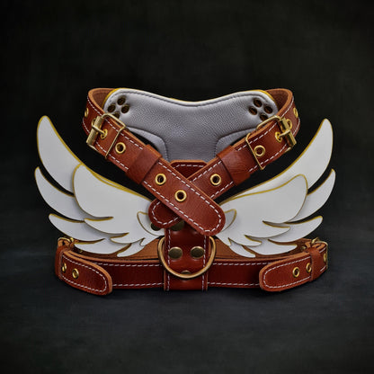 The "Hermes" leather harness - Small to Medium Size - Tampa Home & Garden Store