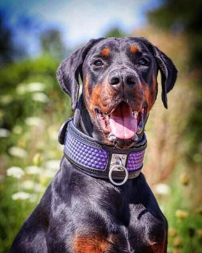 The ''Hexagon'' LIMITED collar exclusive design Limited - Tampa Home & Garden Store
