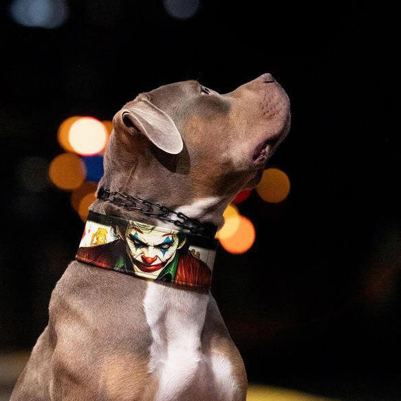 The Joker Limited Collar - Tampa Home & Garden Store