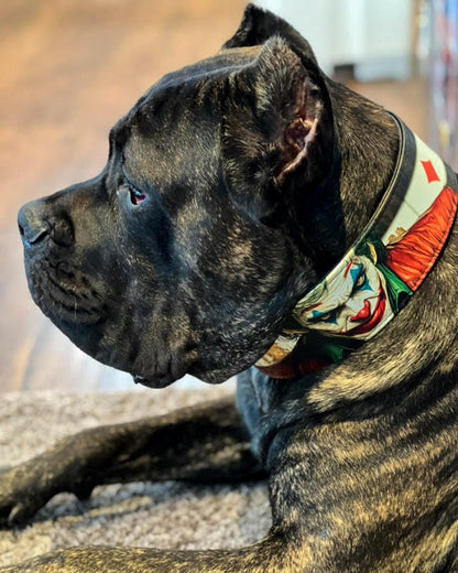 The Joker Limited Collar - Tampa Home & Garden Store