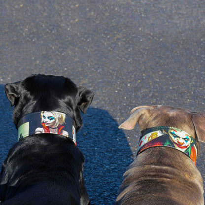 The Joker Limited Collar - Tampa Home & Garden Store