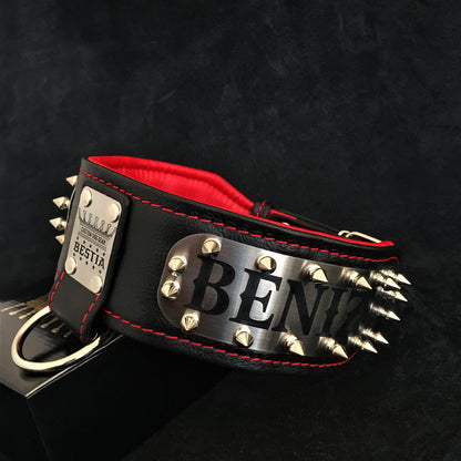 The "Kennel" collar- personalized! - Tampa Home & Garden Store