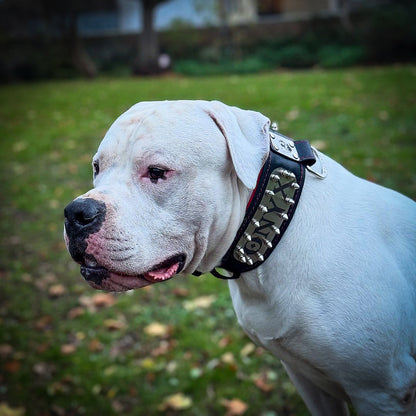 The "Kennel" collar- personalized! - Tampa Home & Garden Store