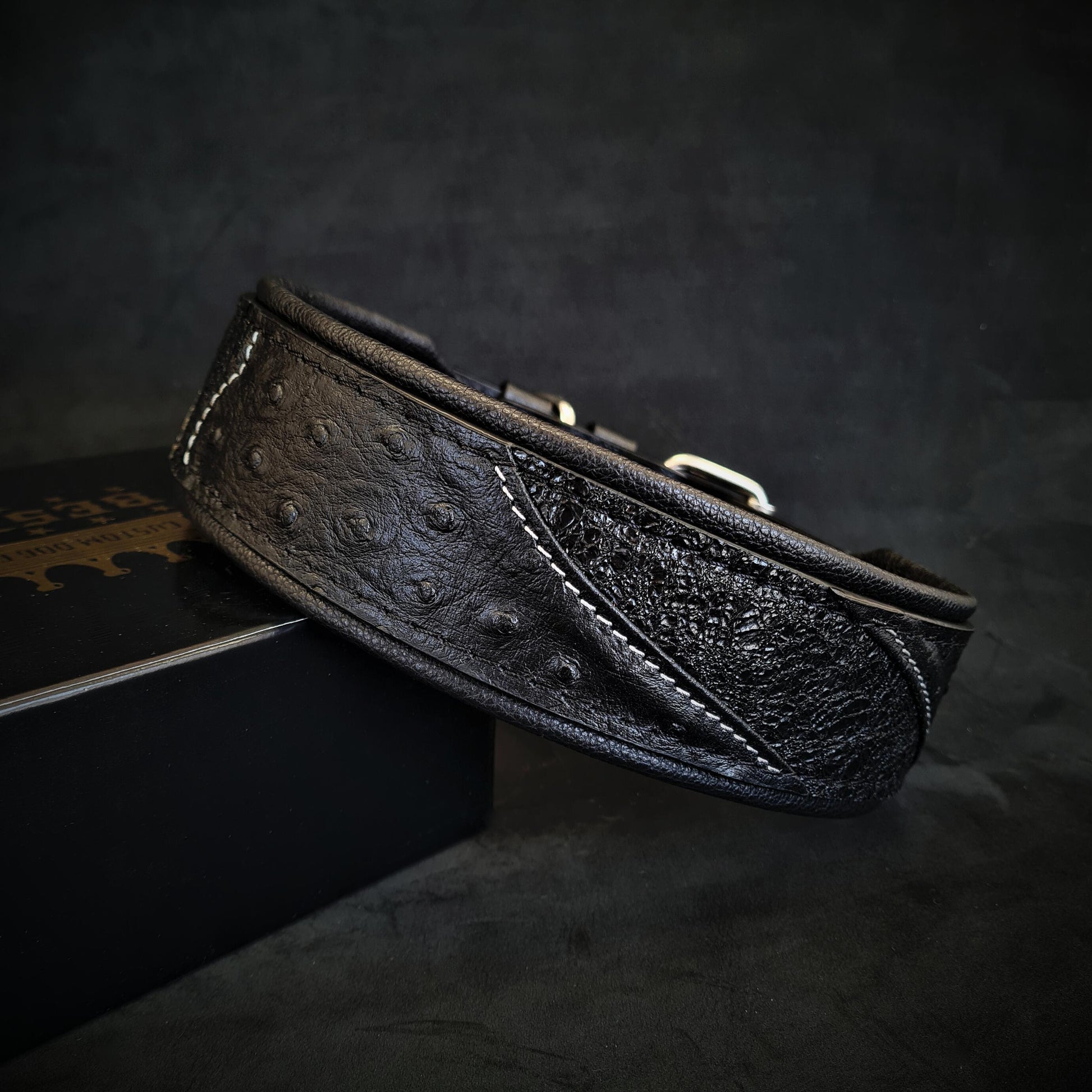 The "Korona" collar BLACK EDITION - Tampa Home & Garden Store