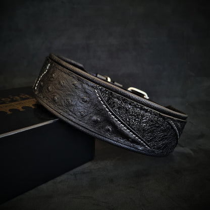 The "Korona" collar BLACK EDITION - Tampa Home & Garden Store