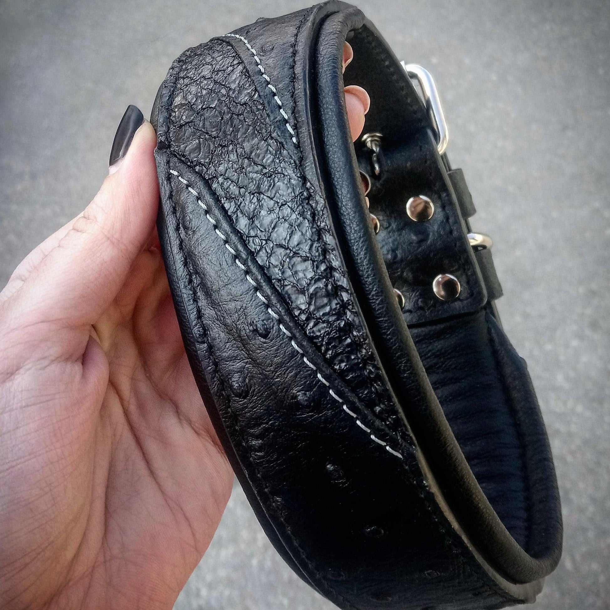 The "Korona" collar BLACK EDITION - Tampa Home & Garden Store
