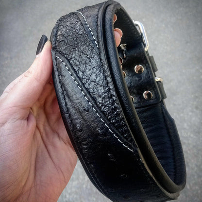 The "Korona" collar BLACK EDITION - Tampa Home & Garden Store