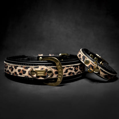 The Leopard Collar - Tampa Home & Garden Store