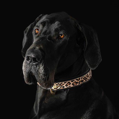 The Leopard Collar - Tampa Home & Garden Store