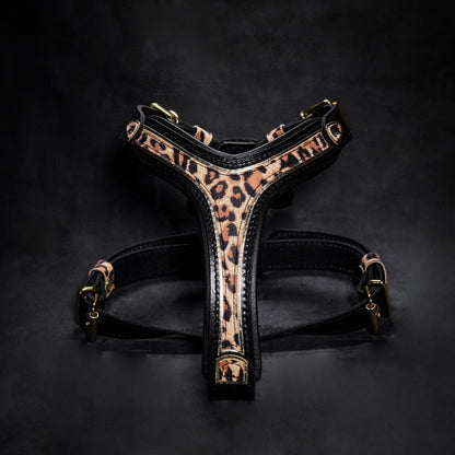 The Leopard Harness Small to Medium Size - Tampa Home & Garden Store