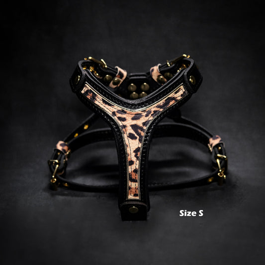 The Leopard Harness Small to Medium Size - Tampa Home & Garden Store