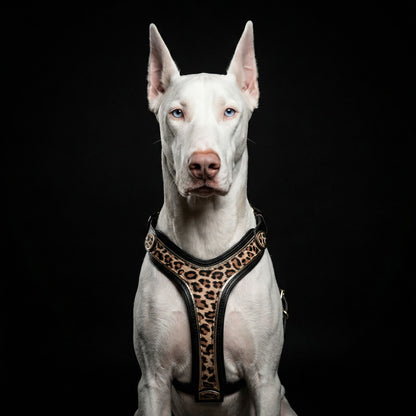 The Leopard Harness - Tampa Home & Garden Store