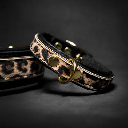 The Leopard Puppy Collar - Tampa Home & Garden Store