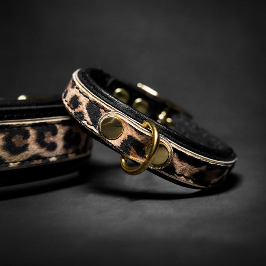 The Leopard Puppy Collar - Tampa Home & Garden Store