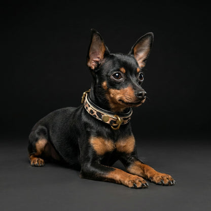 The Leopard Puppy Collar - Tampa Home & Garden Store