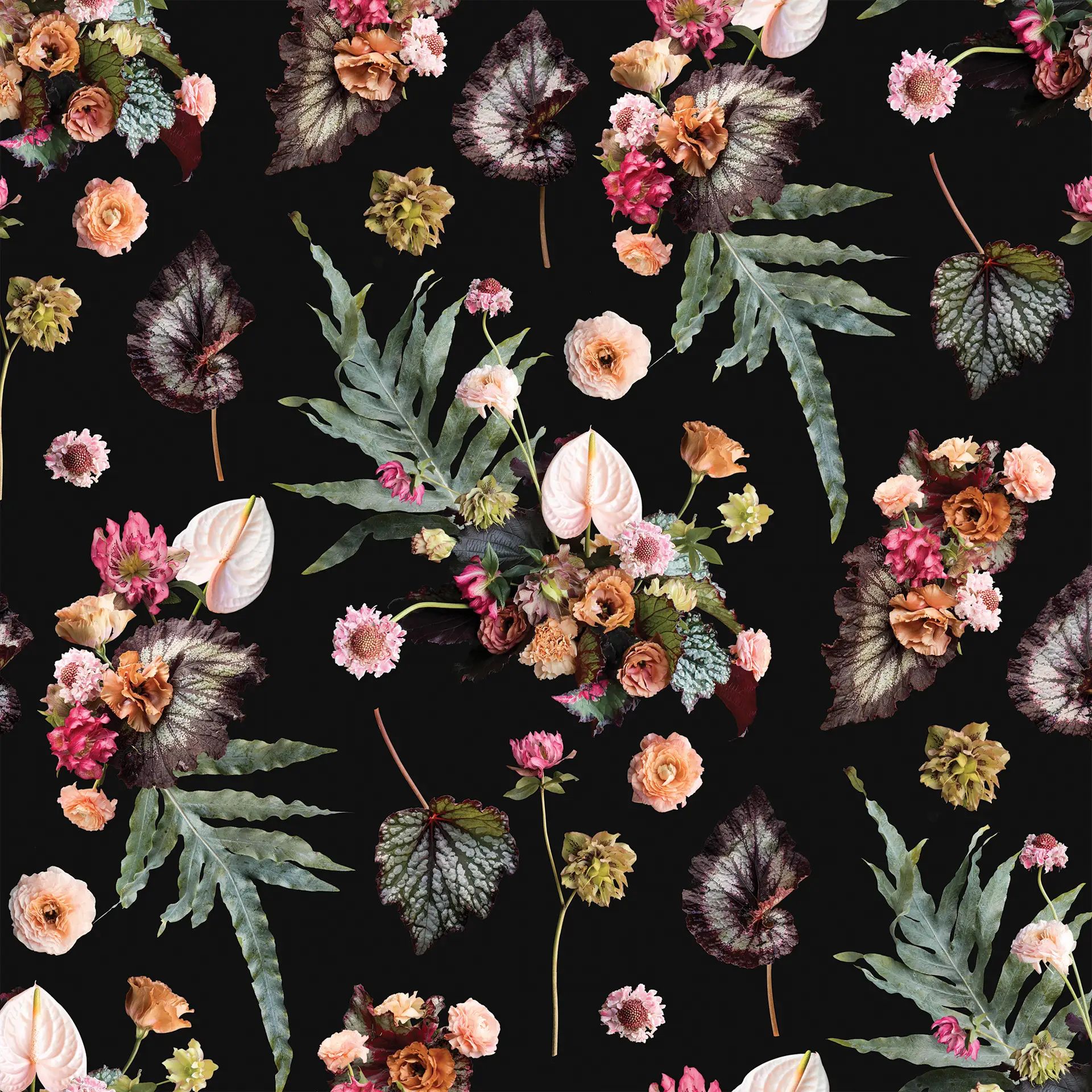 The Little Branch Wallpaper, black - Tampa Home & Garden Store