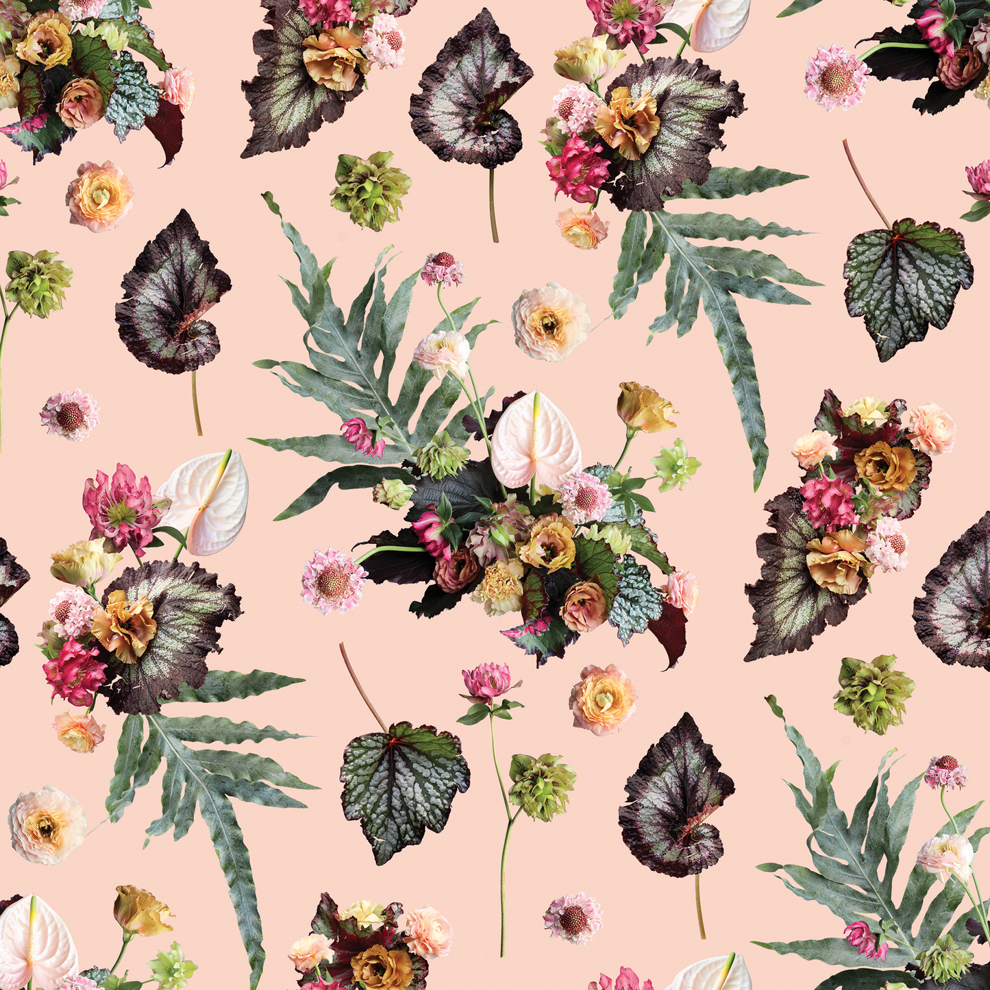 The Little Branch Wallpaper, blush - Tampa Home & Garden Store