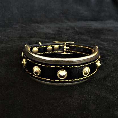 The "Maxi" collar - Tampa Home & Garden Store