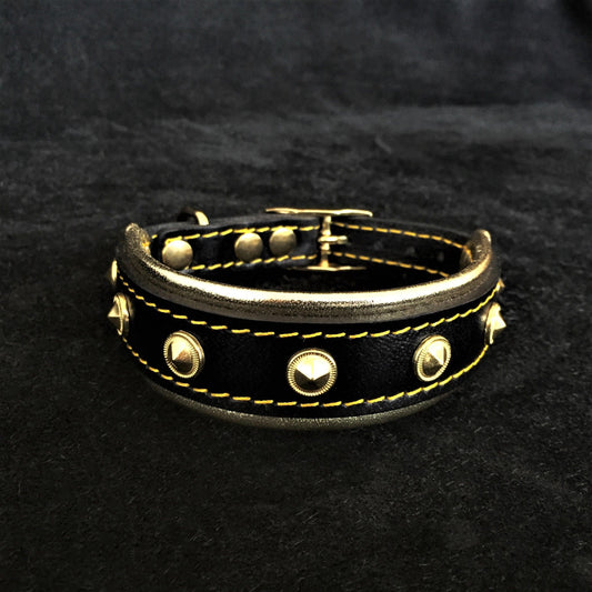 The "Maxi" collar - Tampa Home & Garden Store