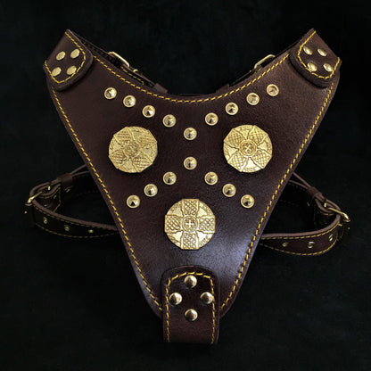The "Maximus" brown harness - Tampa Home & Garden Store