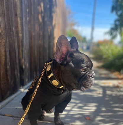The "Maximus" collar 2 inch wide gold decoration - Tampa Home & Garden Store