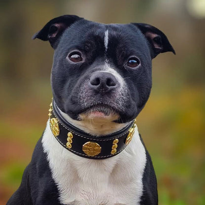 The "Maximus" collar 2 inch wide gold decoration - Tampa Home & Garden Store