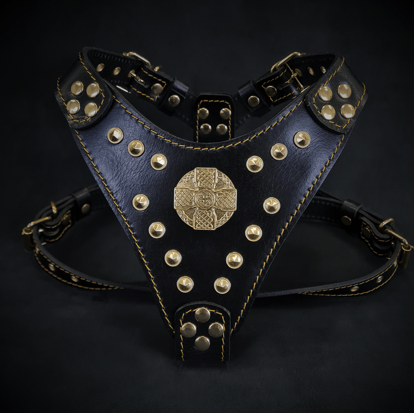 The ''Maximus'' harness Black & Gold  Small to Medium Size - Tampa Home & Garden Store