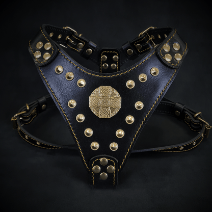 The ''Maximus'' harness Black & Gold  Small to Medium Size - Tampa Home & Garden Store