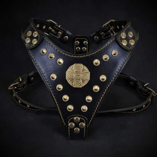 The ''Maximus'' harness Black & Gold  Small to Medium Size - Tampa Home & Garden Store