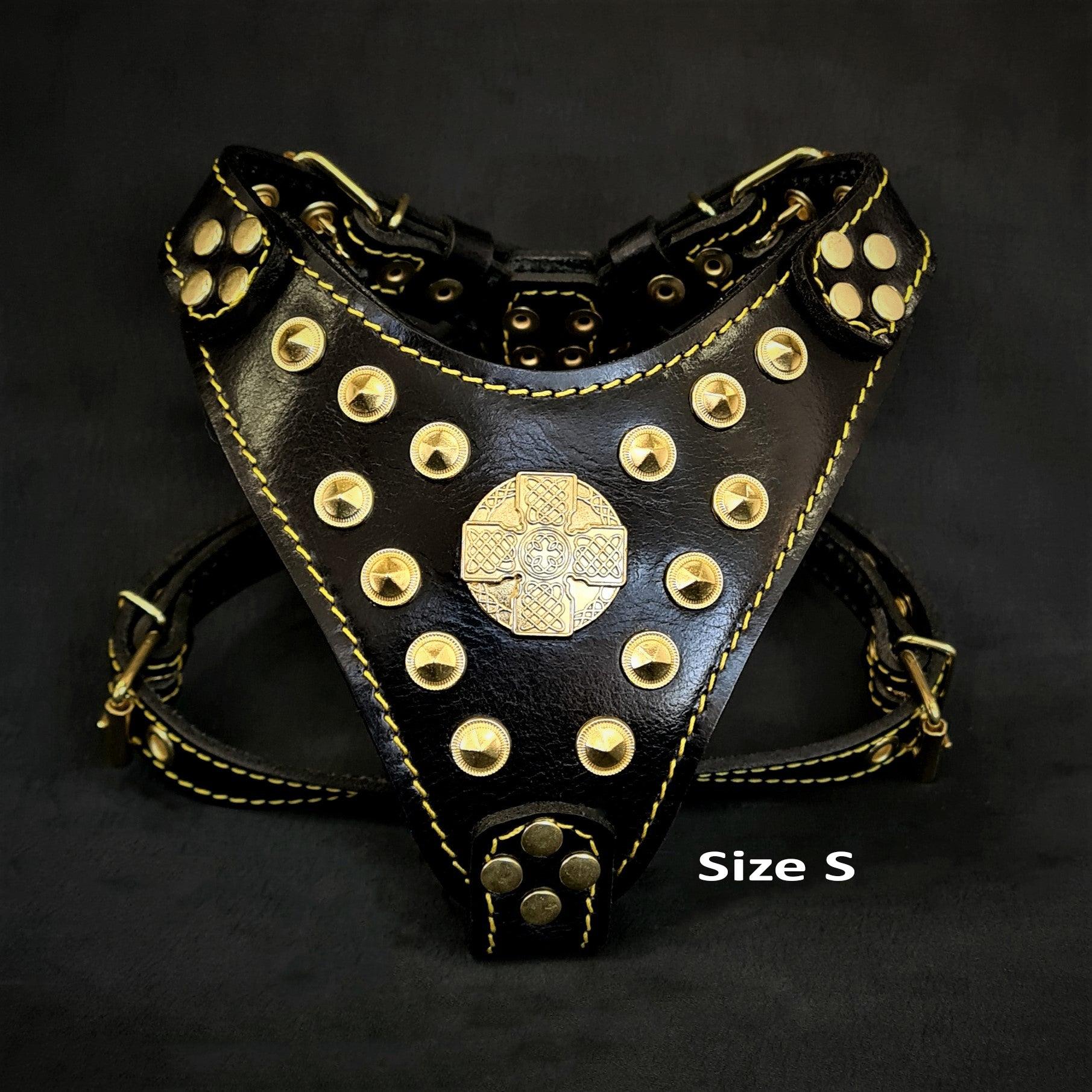 The ''Maximus'' harness Black & Gold  Small to Medium Size - Tampa Home & Garden Store