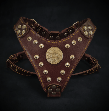 The ''Maximus'' harness Brown & Gold Small to Medium Size - Tampa Home & Garden Store