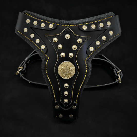 The "Maximus" harness V2 - Tampa Home & Garden Store