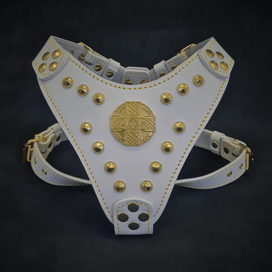 The ''Maximus'' harness White & Gold Small to Medium Size - Tampa Home & Garden Store
