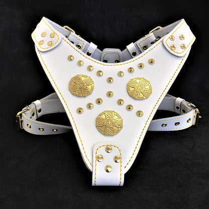 The "Maximus" harness White - Tampa Home & Garden Store
