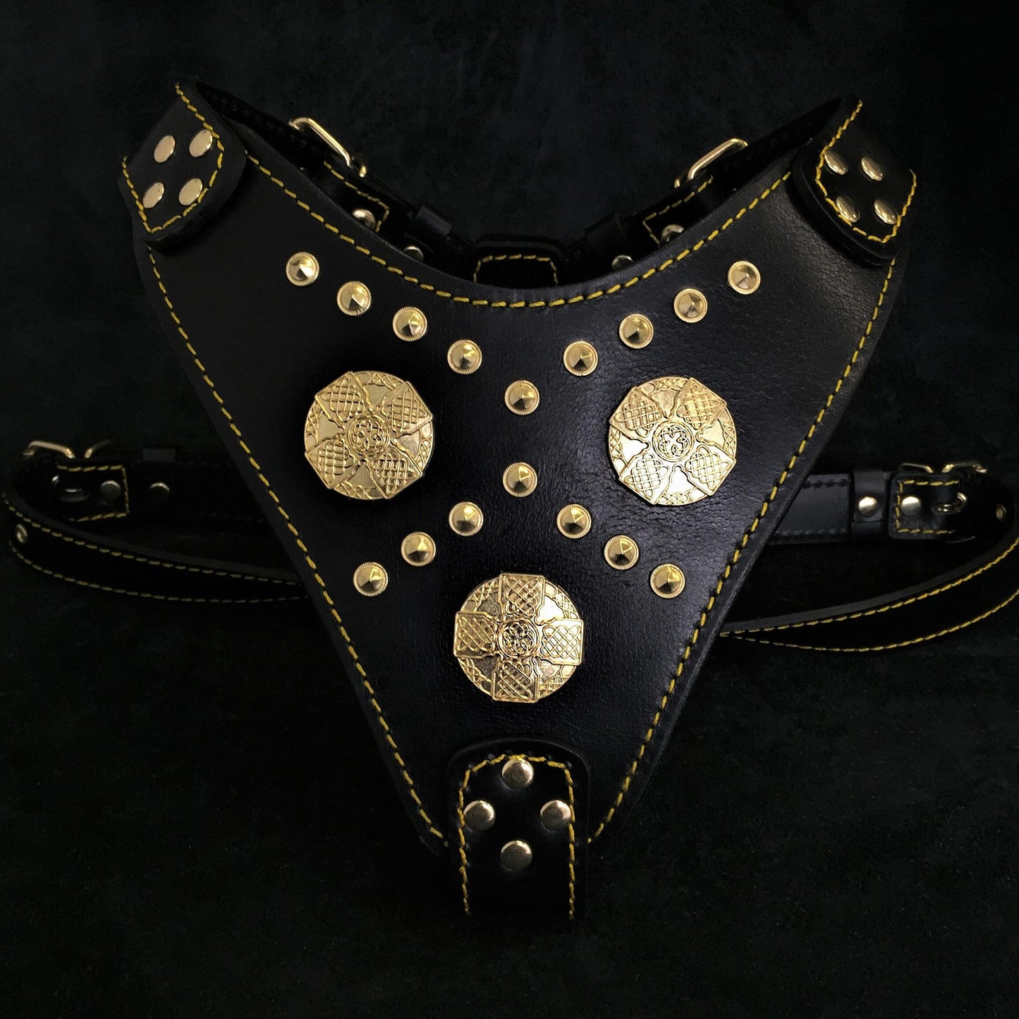 The "Maximus" harness black & gold - Tampa Home & Garden Store
