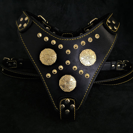 The "Maximus" harness black & gold - Tampa Home & Garden Store