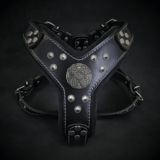 The ''Maximus'' harness black & silver Small to Medium Size - Tampa Home & Garden Store