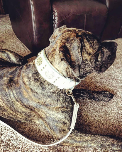 The "Maximus" leash white & gold - Tampa Home & Garden Store
