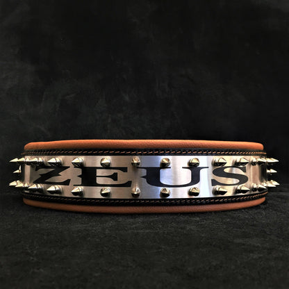 The "Metal" collar- personalized! - Tampa Home & Garden Store