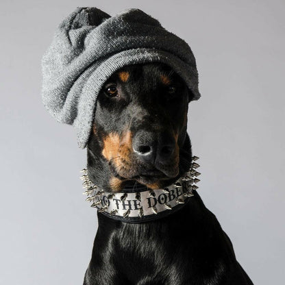The "Metal" collar- personalized! - Tampa Home & Garden Store