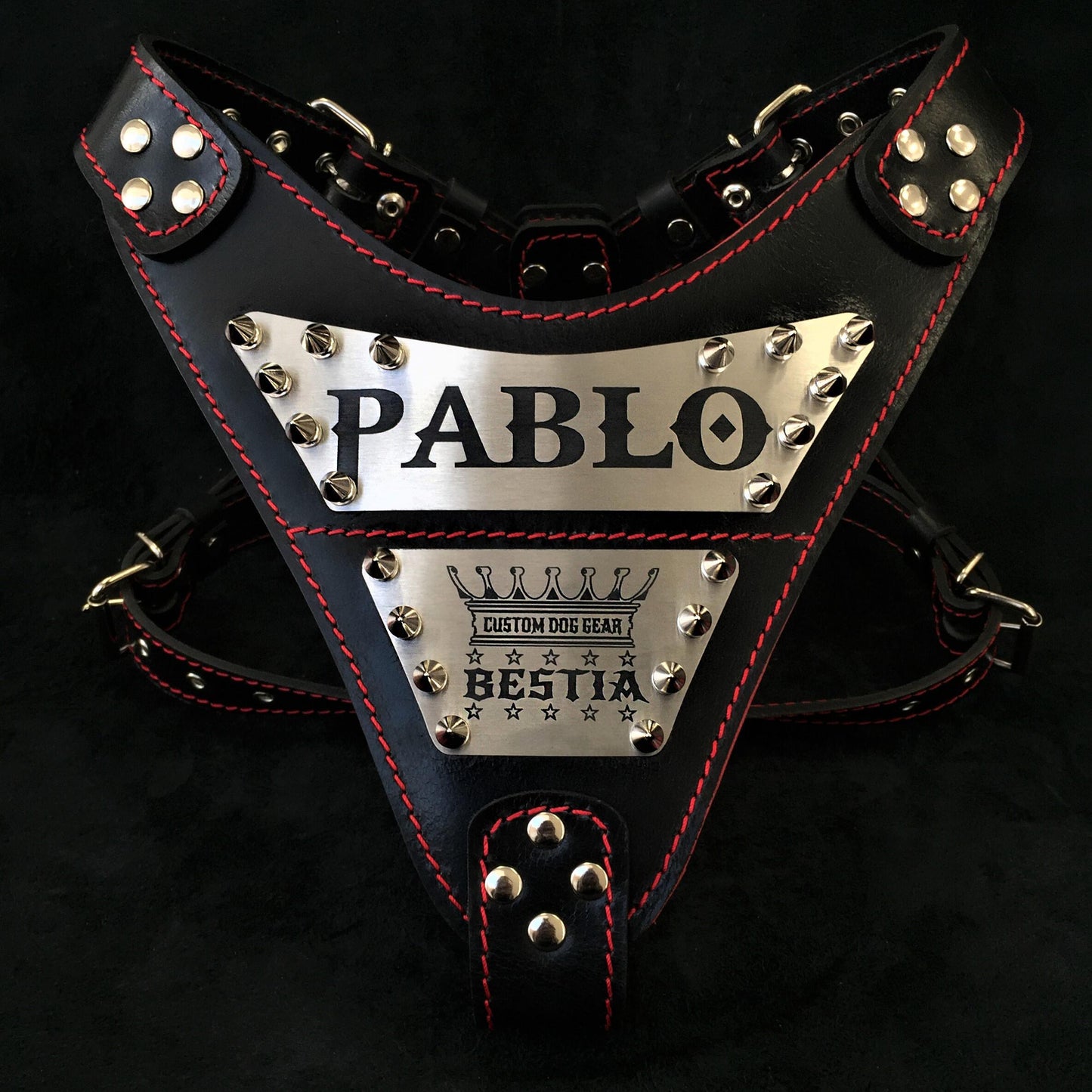 The "Metal" harness- Personalized! - Tampa Home & Garden Store