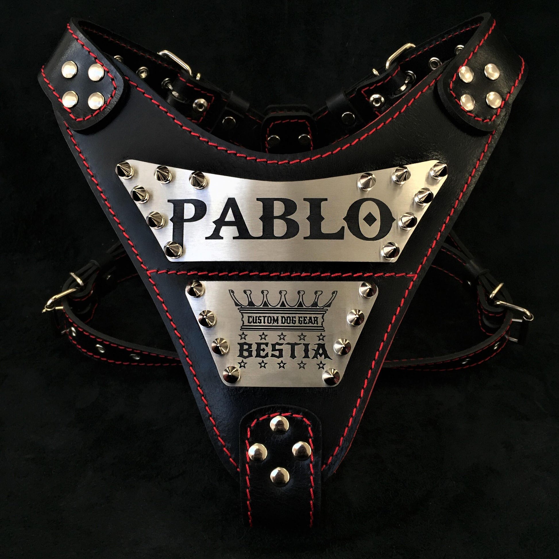 The "Metal" harness- Personalized! - Tampa Home & Garden Store