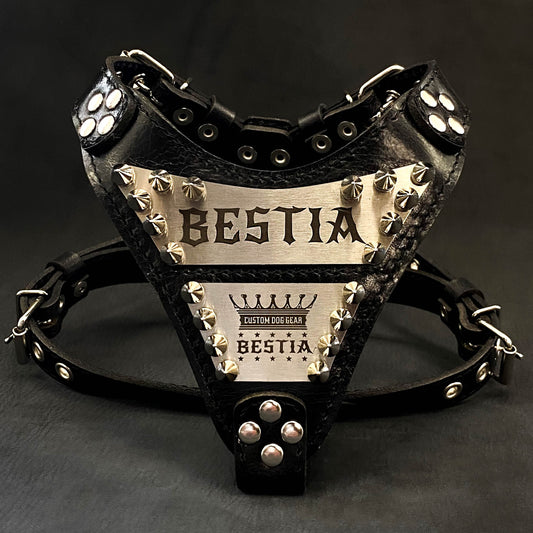 The "Metal" harness small to medium size - Personalized - Tampa Home & Garden Store