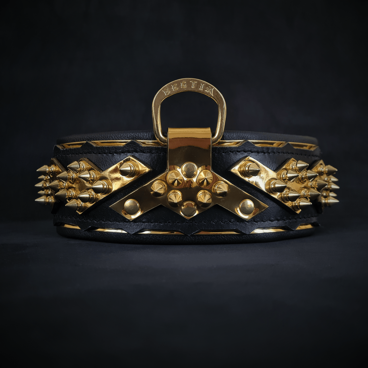 The ''Midas'' Collar Gold - Tampa Home & Garden Store