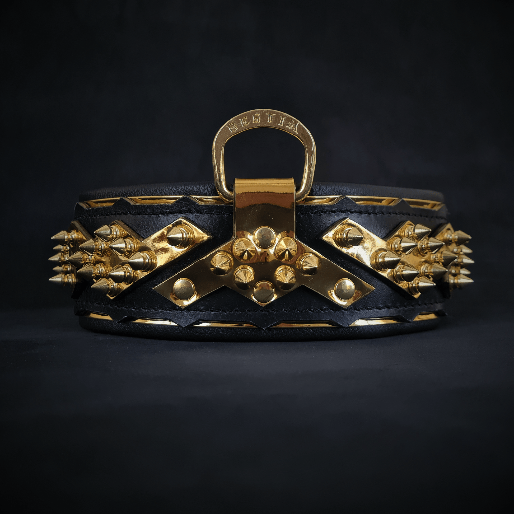 The ''Midas'' Collar Gold - Tampa Home & Garden Store